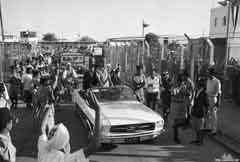 ���� ������ ��� ��� ����